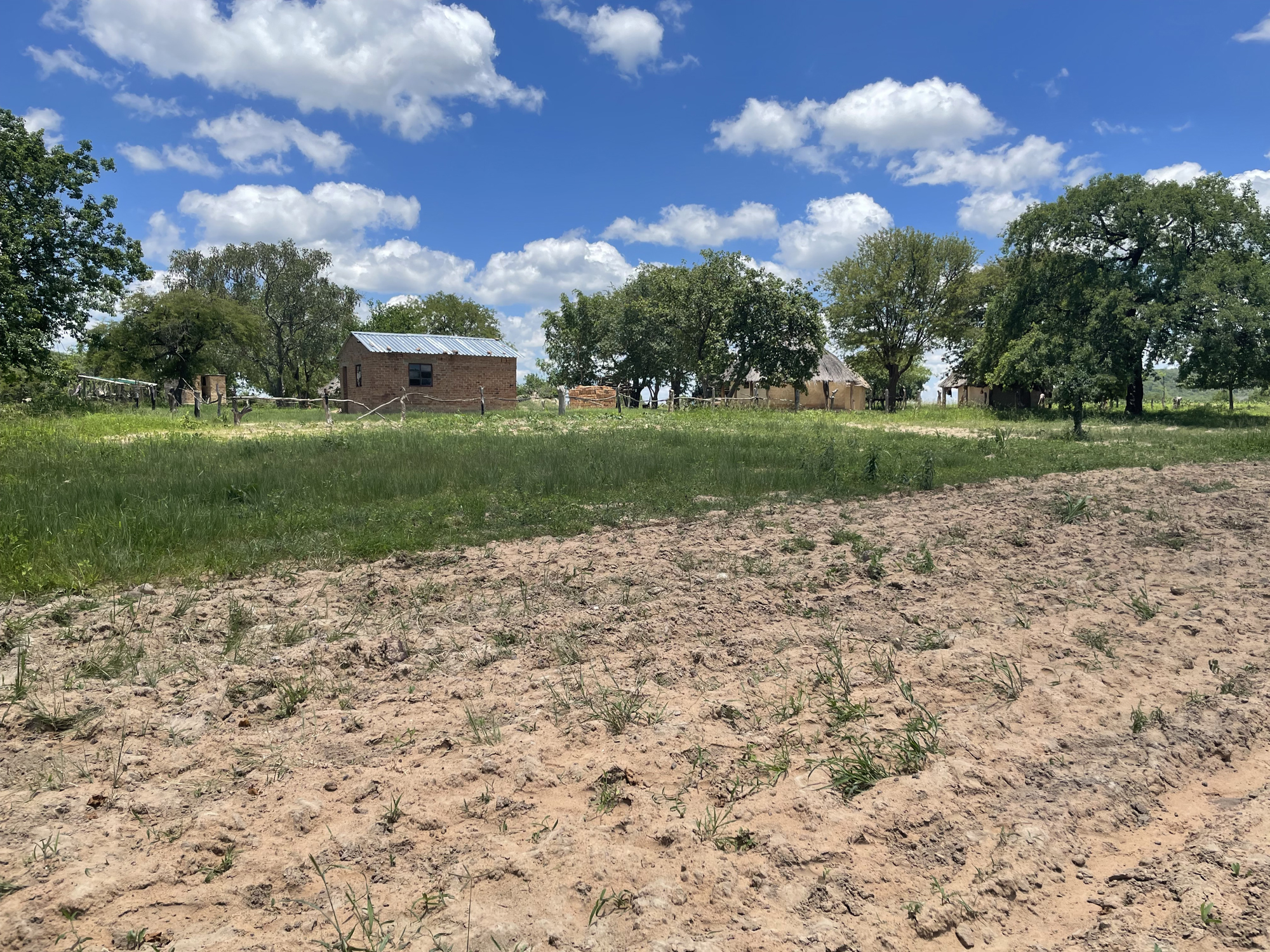 LINCZ Learning & Research Hub