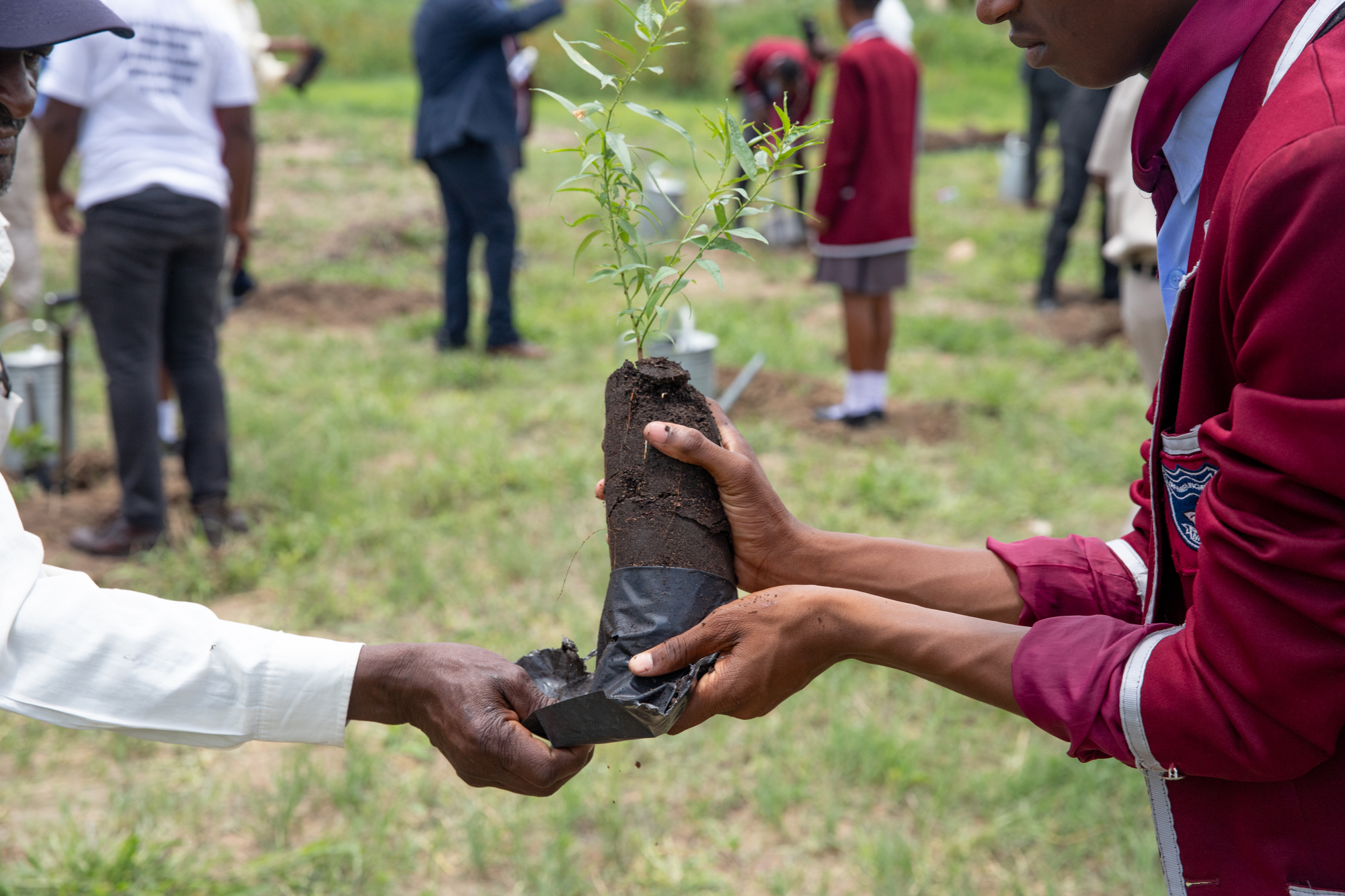 LINCZ Learning & Research Hub
