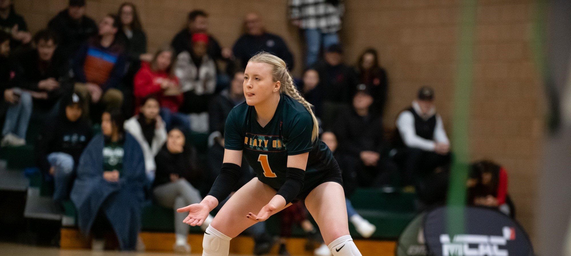 CMU Blazers Athletics