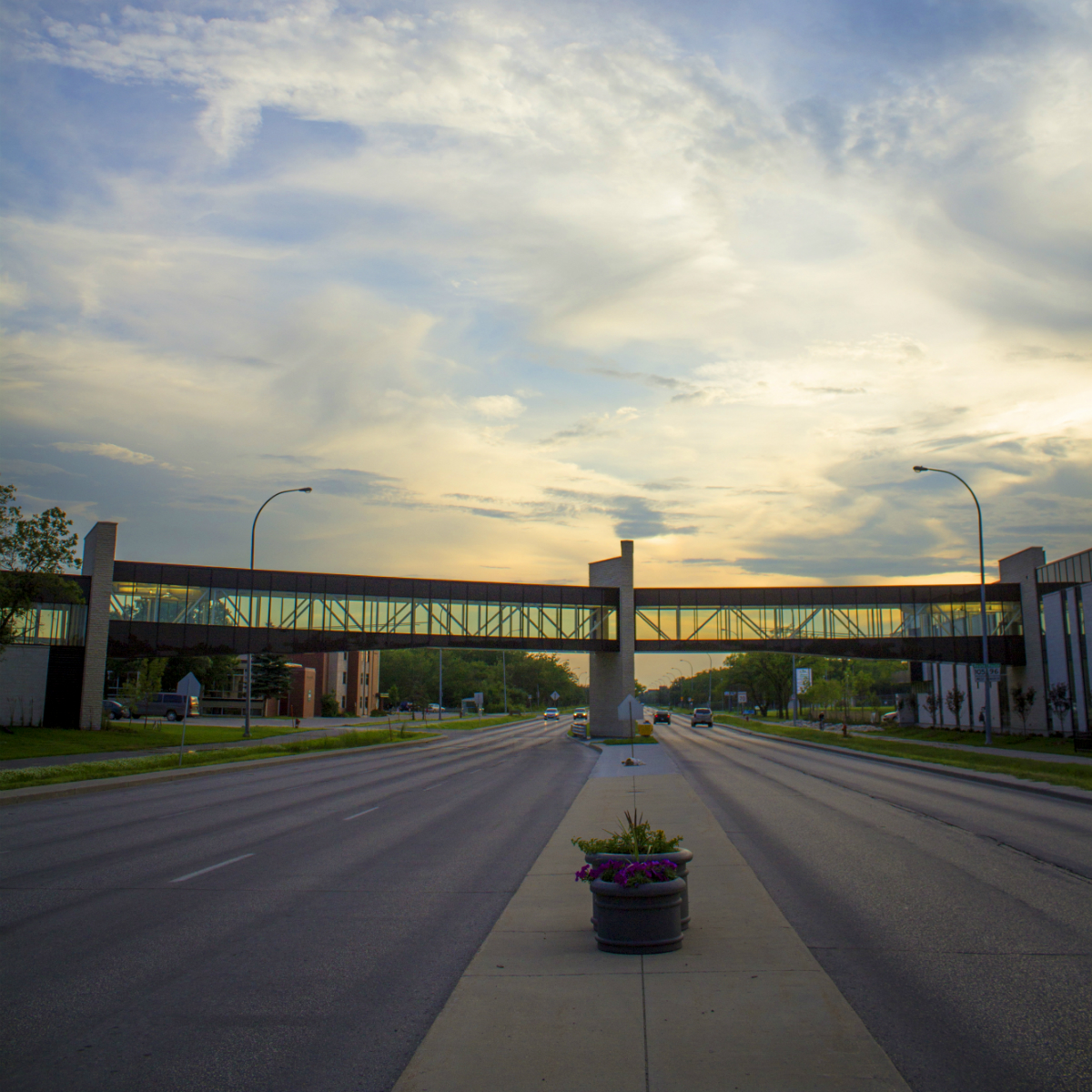 CMU Bridge