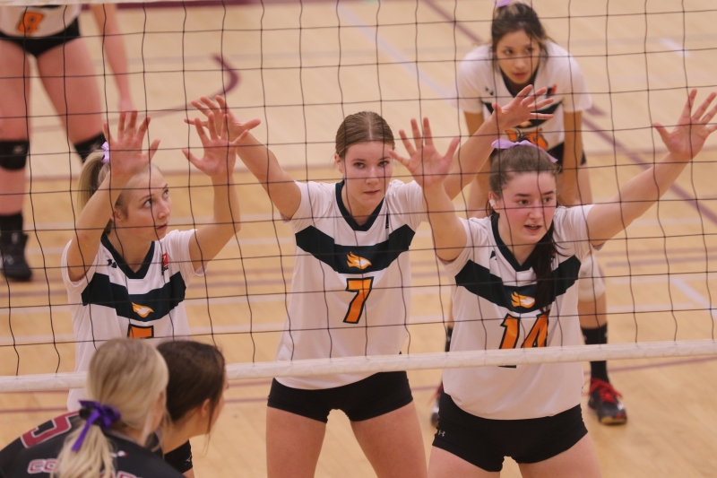 Blazers Go Perfect in Week 12