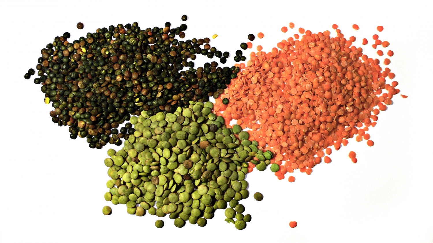 ©Justinc. Lentils. Wikimedia. ©Justinc. Lentils. Wikimedia.