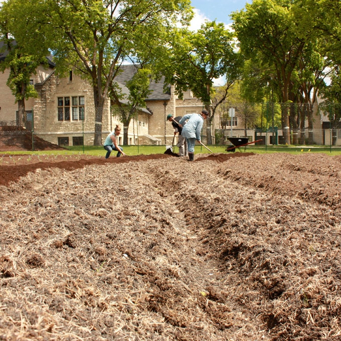 Creation care as career: spotlight on alumni farmers (part 1 of 4)