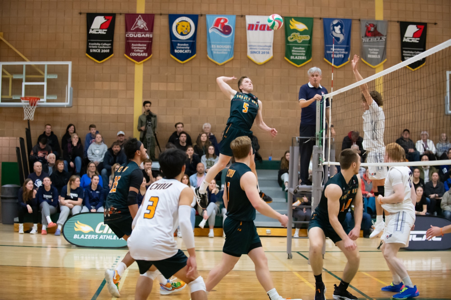Cameron Gayleard: November's Zueike Male Athlete of the Month Cameron Gayleard: November's Zueike Male Athlete of the Month