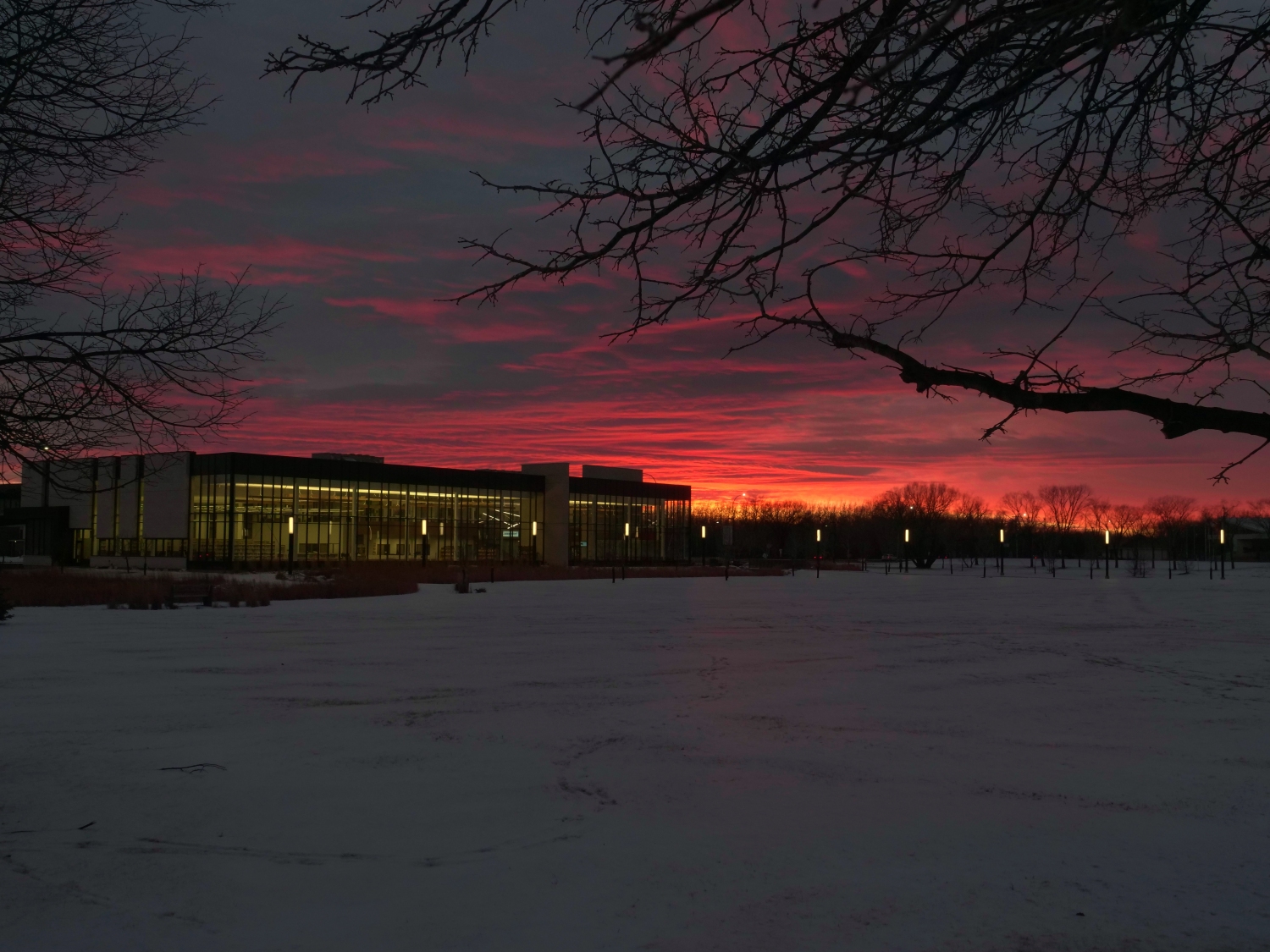 CMU plans for the 2021 winter term: what and why