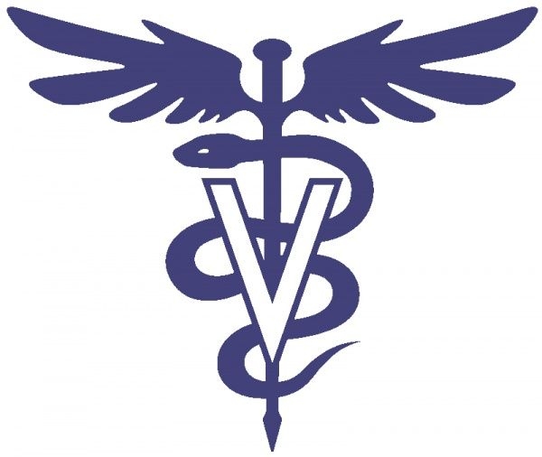 Two CMU alumni prove the value of creative veterinary care