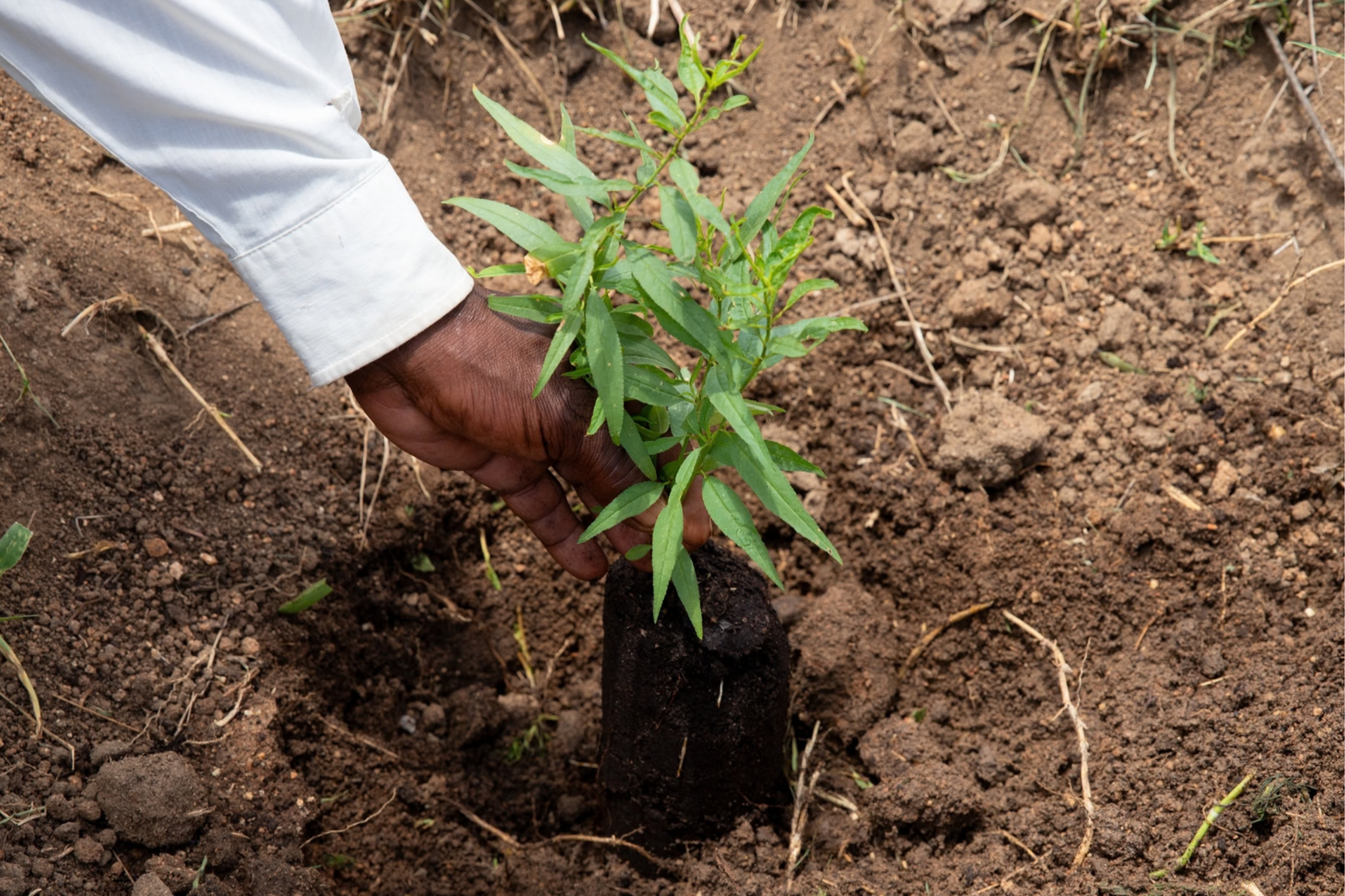 Community Dialogue: Building Resilience Through People and Nature