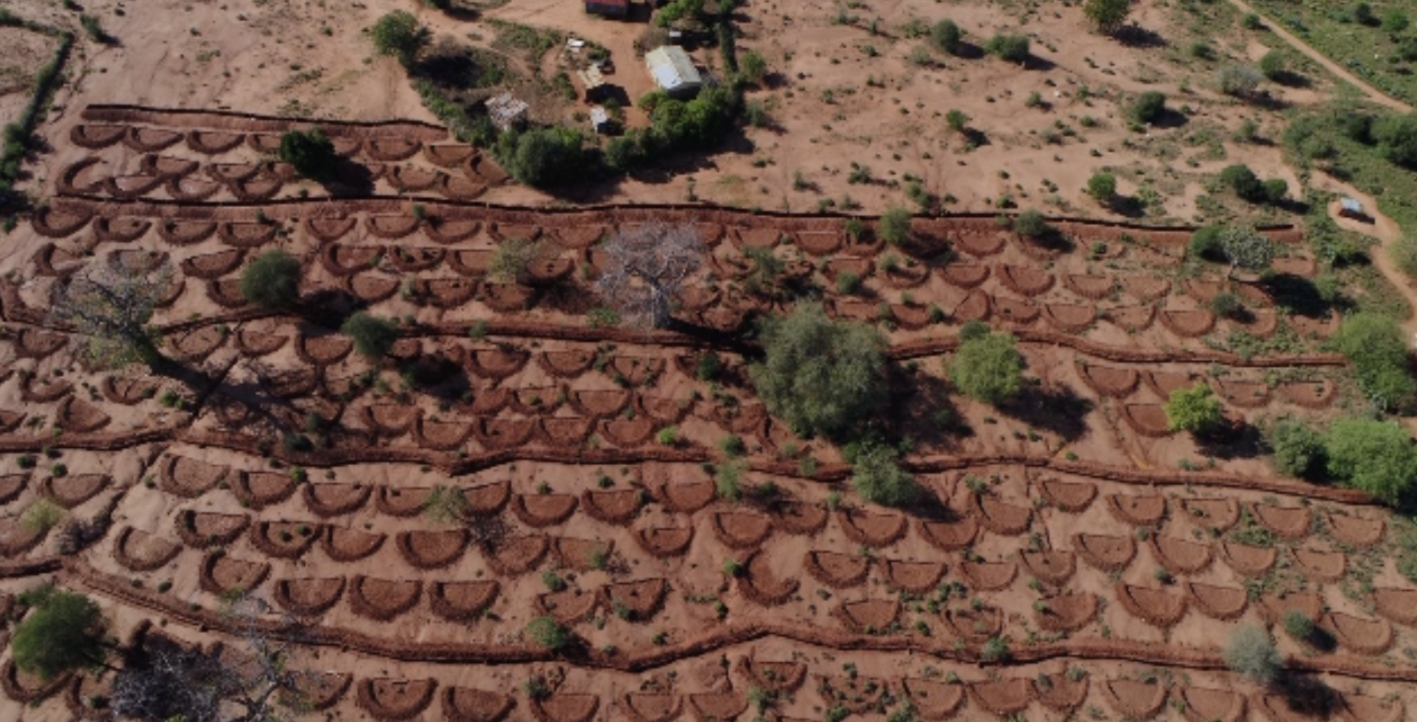 The Ndetani sublocation landscape restoration site after restoration in Kenya.