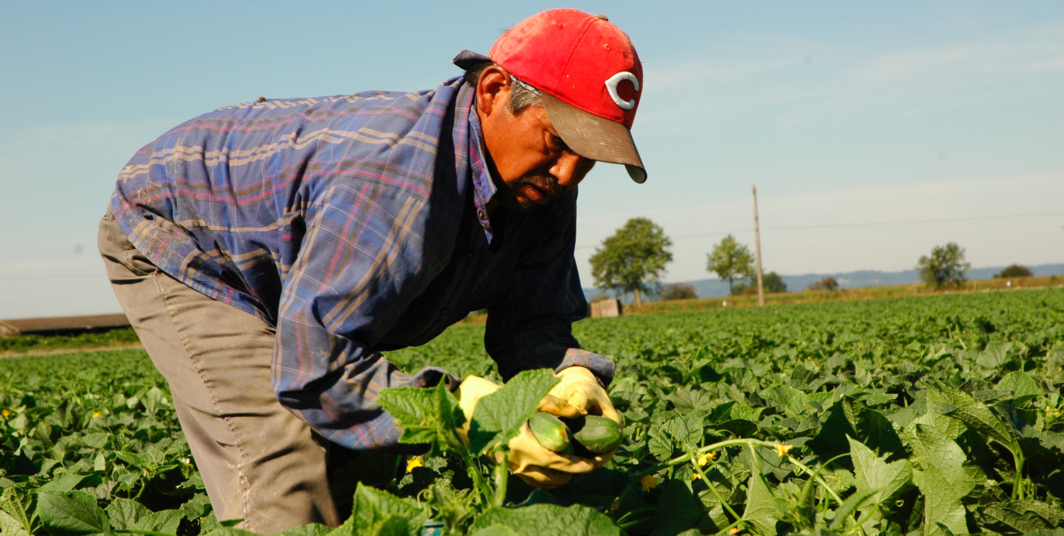 Migrant Worker Solidarity Network