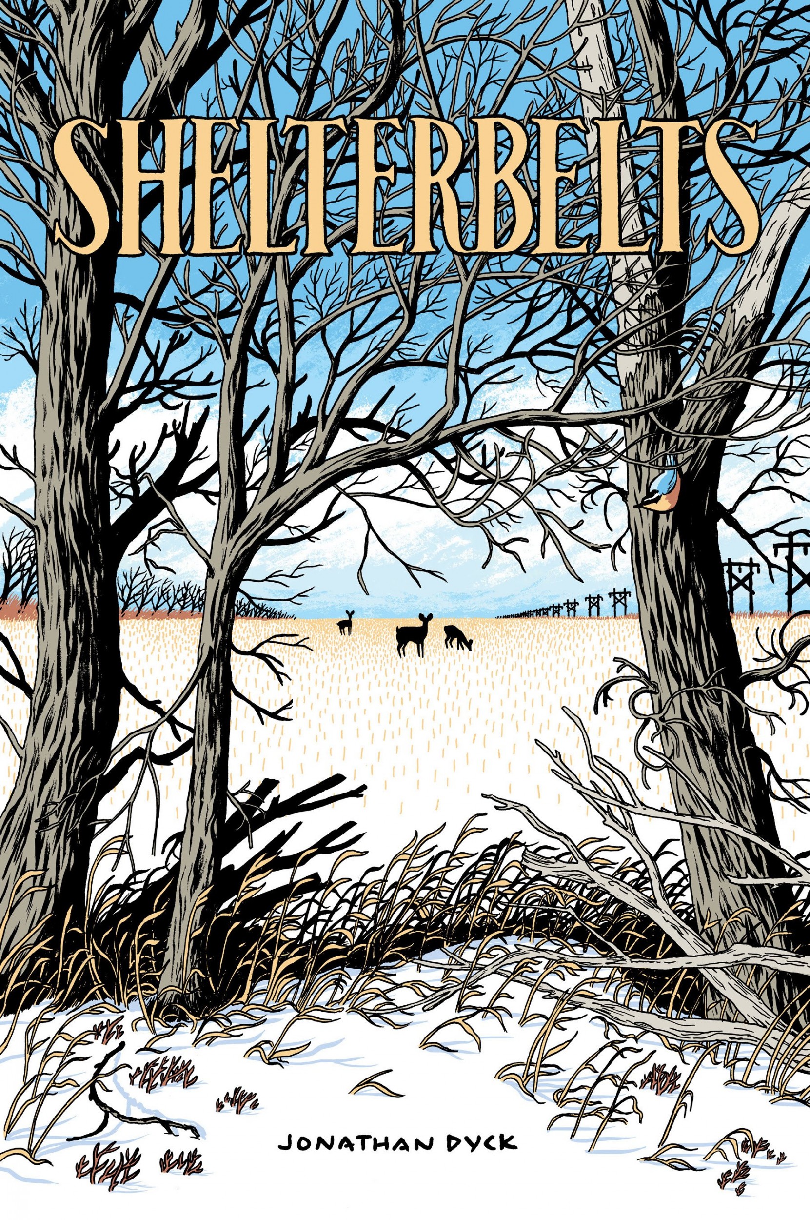 Book cover of Shelterbelts by Jonathan Dyck