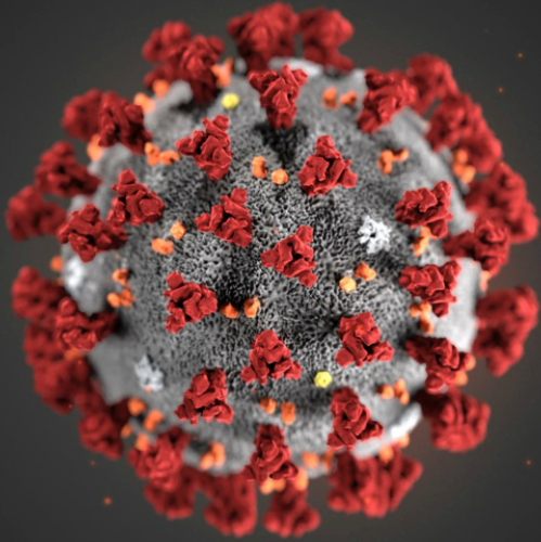 COVID-19 Pandemic