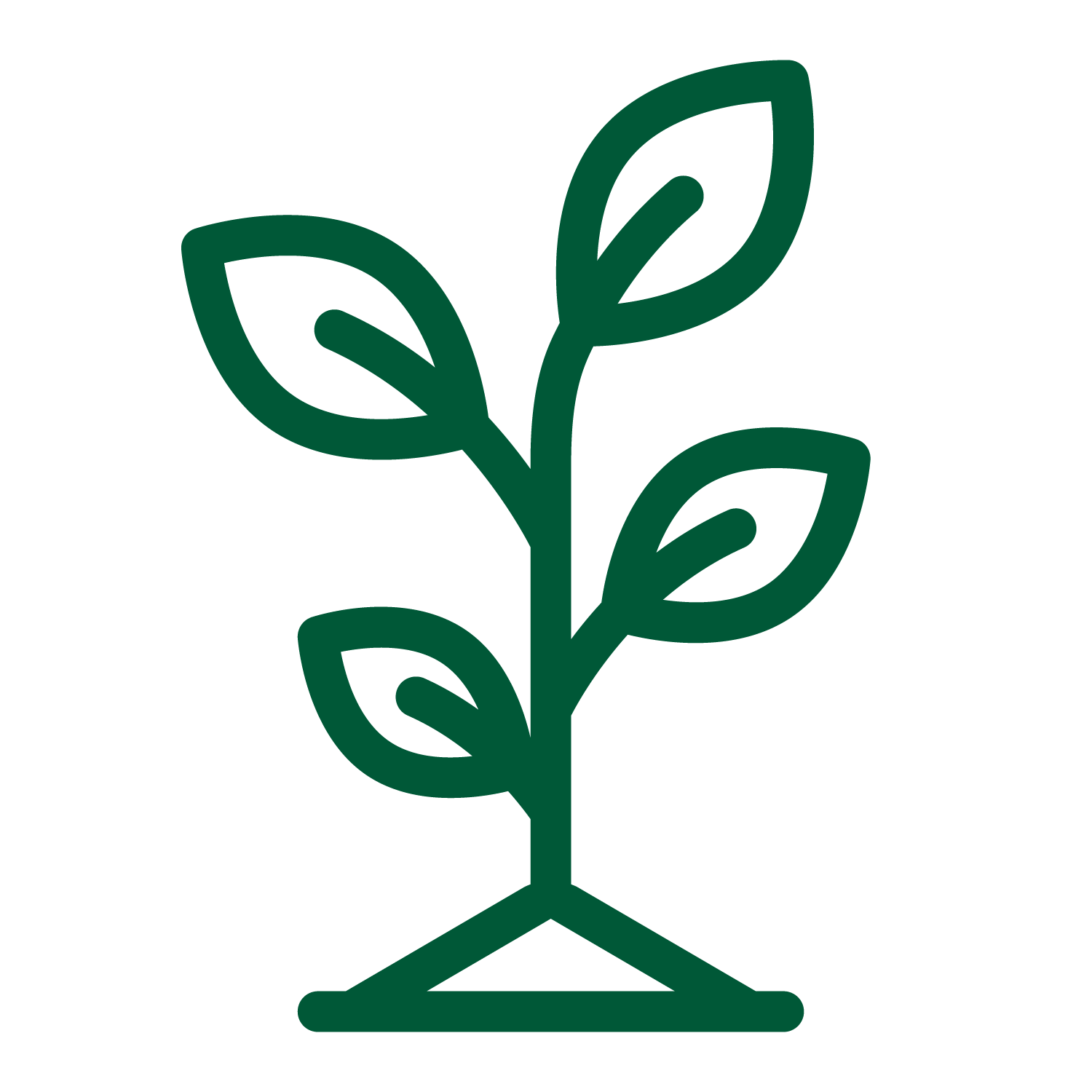 tree sapling graphic