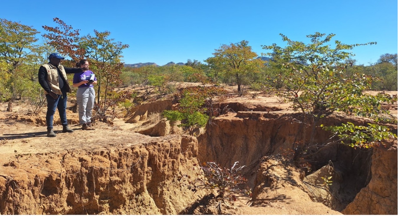 Ntuthuko Ngwenya and Dr. Natalia Wiederkehr validate a GPS point at the edge of a gully to be rehabilitated as part of the LINCZ project at eNyandeni in Gwanda district.